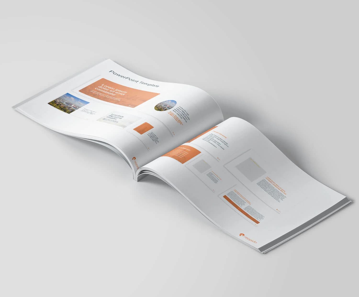 Reppido - Afbeelding 8