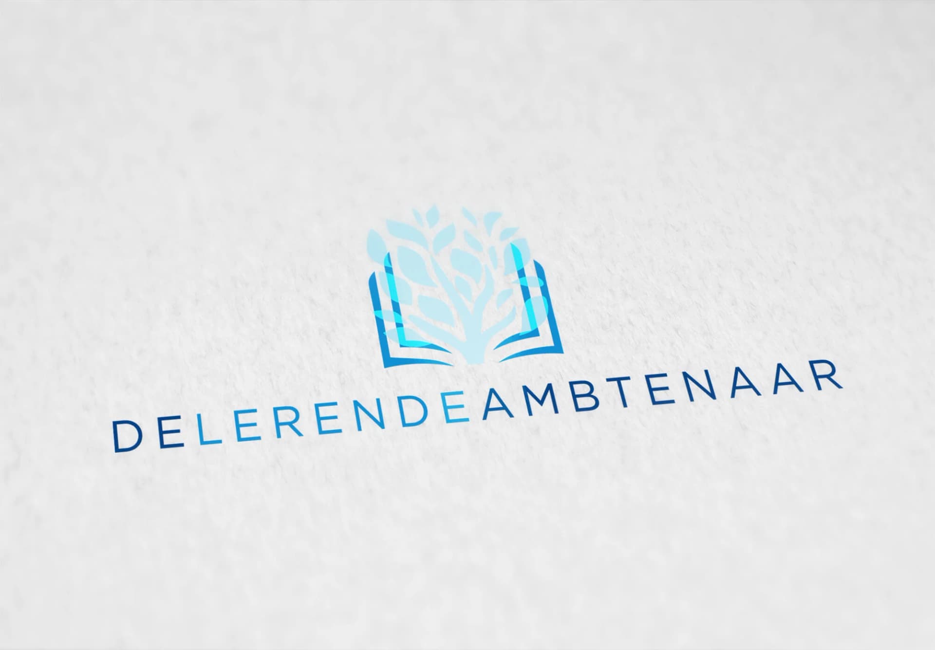 Lerende Ambtenaar - Afbeelding 2