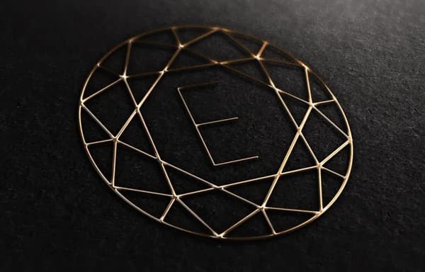 Van Essen Advocaten - Afbeelding 6